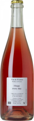 Anders Frederik Steen I Hope Every Day 2021