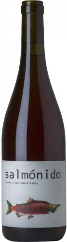 Barranco Oscuro Salmónido 2019