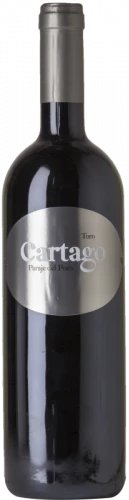 Cartago Paraje Del Pozo 2018