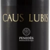 Caus Lubis 2006