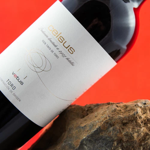 Celsus 2019 2 Celsus 2019 - Image 2