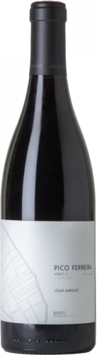 César Márquez Pico Ferreira 2021