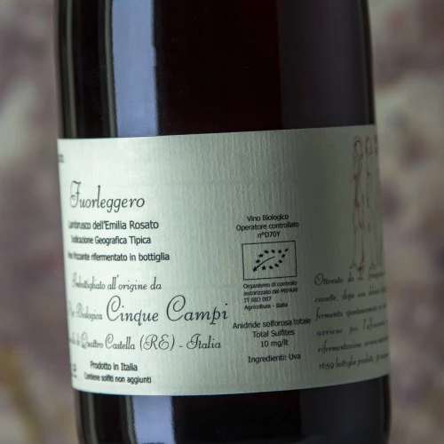 Cinque Campi Fuorleggero 2019 2 Cinque Campi Fuorleggero 2019 - Image 2