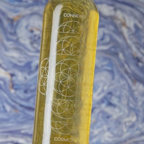 Cosmic Connexió Còsmica 2022 2 Cosmic Connexió Còsmica 2022 - Image 2