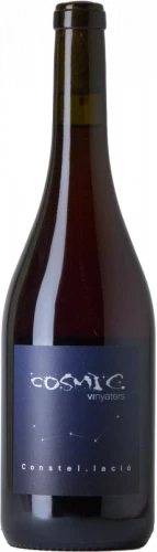 Cosmic Constel.lació 2022