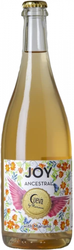 Cueva Joy Ancestral 2020