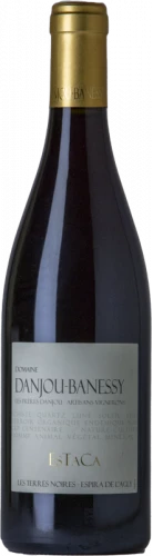 Danjou Banessy Estaca 2019