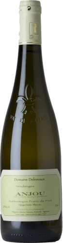 Delesvaux Anjou Blanc Authentique Franc De Pied 2019