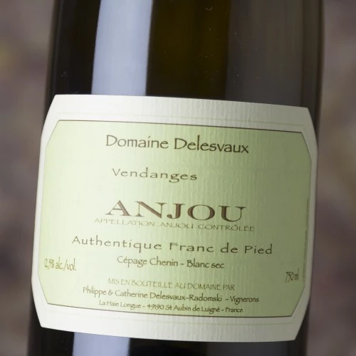 Delesvaux Anjou Blanc Authentique Franc De Pied 2019 2 Delesvaux Anjou Blanc Authentique Franc De Pied 2019 - Image 2