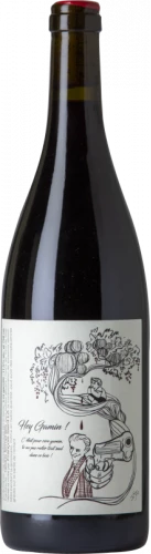 François Saint Lô Hey Gamin 2021