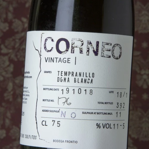 Frontio Corneo 2021 2 Frontio Corneo 2021 - Image 2