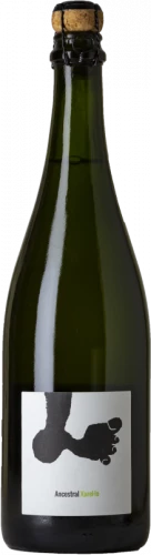 Joan Rubi贸 Xarel.lo Ancestral 2021 Magnum