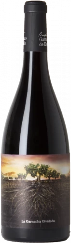 La Garnacha Olvidada De Aragón 2020