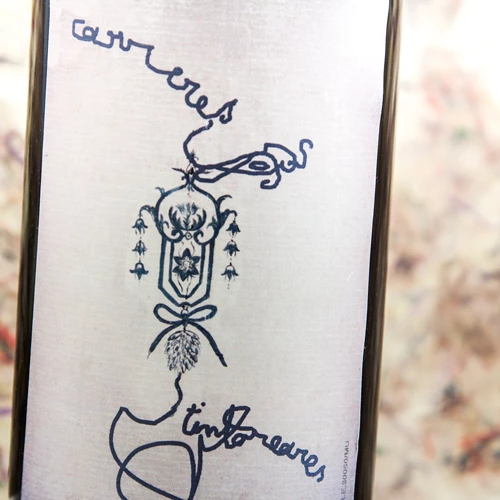 Laboratorio Rupestre Carreres 2021 2 Laboratorio Rupestre Carreres 2021 - Image 2