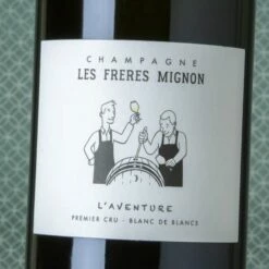 Productos Destacados -Licor De Vino Ventas les freres mignon laventure 1er cru 500x500 1