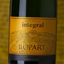 Licor De Vino Ventas -Licor De Vino Ventas llopart integral brut nature 500x500 1