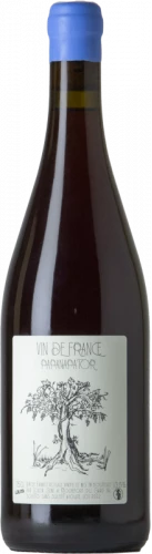 Lolita Papanapator 2022