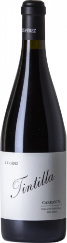 Luis Pérez Tintilla Carrascal 2020