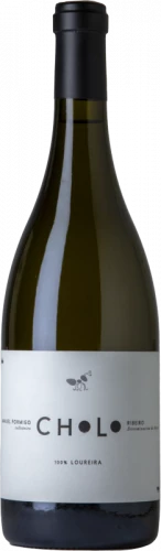 Manuel Formigo Cholo 2022