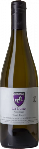Mark Angeli La Lune Amphores 2019