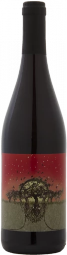 Mas Candí Cabories 2022