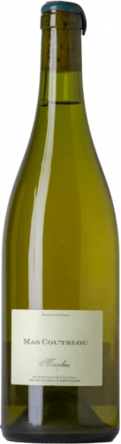 Mas Coutelou Macabeu Oeuf 2021