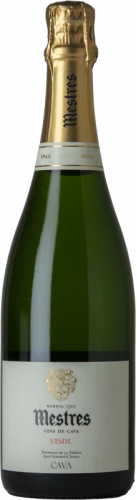 Mestres Visol 2015