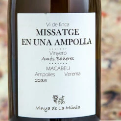Licor De Vino Ventas -Licor De Vino Ventas missatge en una ampolla 500x500 1