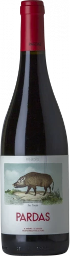 Pardas Sus Scrofa 2022