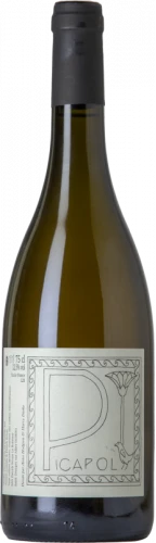 Patrick Bouju Picapol 2020