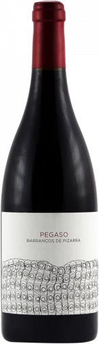 Pegaso Barrancos De Pizarra 2020