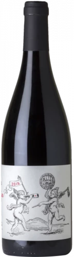 Pierre Cotton Beaujolais 2017