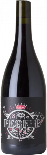 Pierre Cotton Régnié 2020