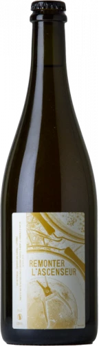 Remonter L'Ascenseur 2021