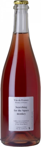 Searching For The Space Monkey 2018