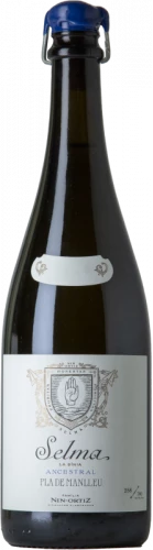 Selma Ancestral 2020