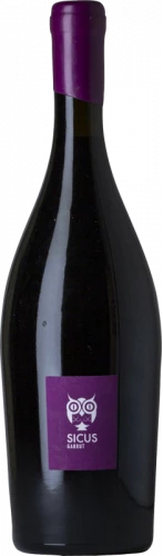 Sicus Garrut Sassy 2020