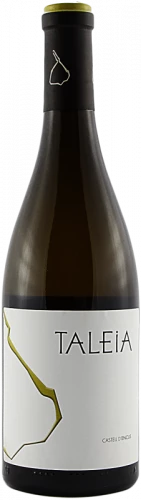 Taleia 2019