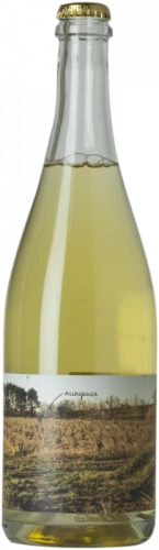 Vinyes Singulars Minipuça 2018